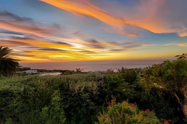 Cape Rose Cottage - Penthouse In Camps Bay ケープタウン エクステリア 写真